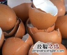 鸡蛋壳的功效与作用 鸡蛋壳的功效与作用养花