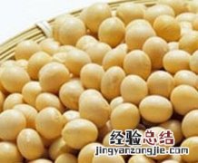 黄豆的功效与作用和副作用 黄豆的功效与作用