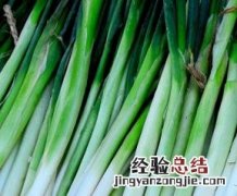 葱可以治病吗 大葱能治病吗