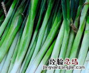 葱可以治病吗 大葱能治病吗
