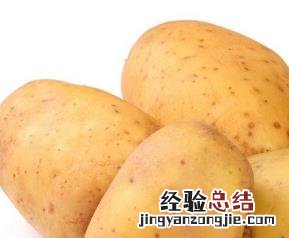 炖土豆养胃吗 土豆能养胃吗