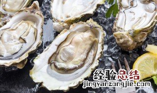 牡蛎粥的做法 牡蛎粥的做法婴儿辅食