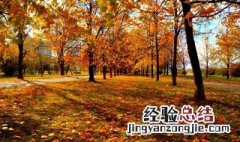 怎样写秋天的景色 描写秋天的景色的句子