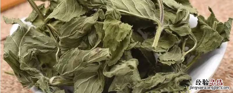 干薄荷叶怎么泡水 干薄荷叶怎么泡水喝
