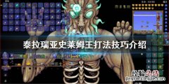 泰拉瑞亚树妖性暗示 泰拉瑞亚史莱姆王怎么打