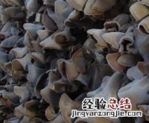 毛木耳的黑木耳的区别 毛木耳与普通木耳的区别