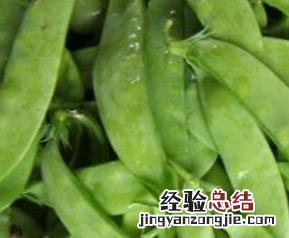 生吃荷兰豆的功效与作用 荷兰豆的功效与作用