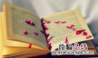 王八看绿豆对眼了什么意思 王八看绿豆对眼了解释