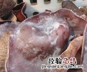 毛木耳的功效与作用及禁忌 毛木耳的功效与作用