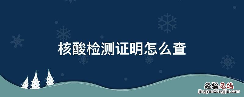 核酸检测证明怎么查别人的 核酸检测证明怎么查