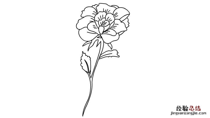 简笔画花朵 简笔画花朵大全100种