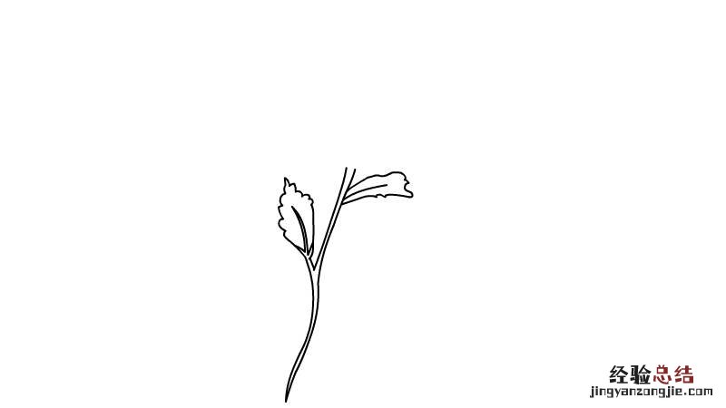 简笔画花朵 简笔画花朵大全100种