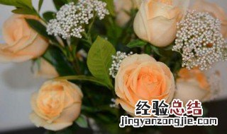 香槟玫瑰配文案 香槟玫瑰配文