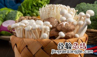 白玉菇繁殖方法 白玉菇繁殖方法有哪些