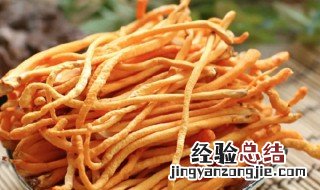虫草花的保存方法 虫草花的保存和食用