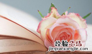 名门望族是什么意思 名门望族含义