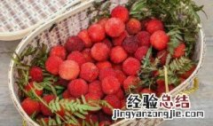 摘杨梅的季节是几月份 采摘杨梅的季节