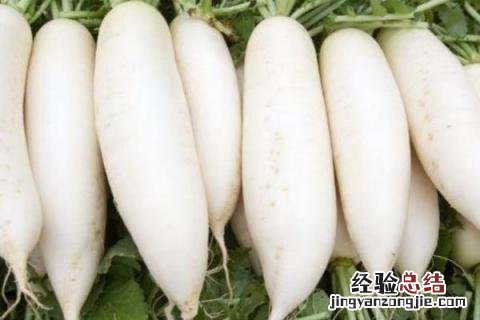 12月种植蔬菜品种 12月种植的蔬菜