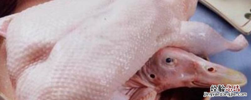 杀好的鸭子放冰箱冷冻能放多久 活杀的鸭子放冰箱要不要洗