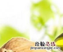 核桃油怎么吃 自榨核桃油怎么吃