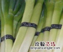 葱白的功效与作用 葱白的功效与作用大