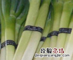 葱白的功效与作用 葱白的功效与作用大