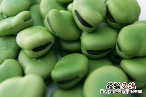 冬天农作物种什么好 冬天种植的农作物有哪些