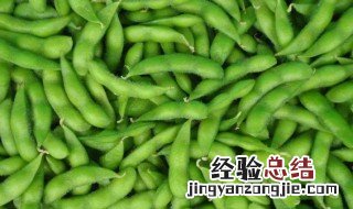毛豆一般什么季节成熟 毛豆的季节在几月份