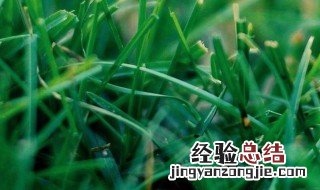 三月属于哪一个季节 三月属于哪一个季节
