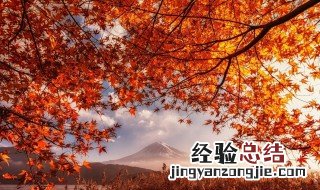 比较火的唯美的句子 比较火的唯美的句子简短