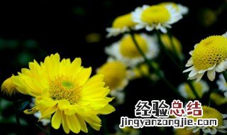 重阳节的文化内涵 重阳文化发源地