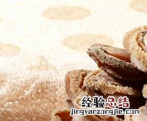 鲍鱼都有哪些营养价值 鲍鱼的营养价值有哪些