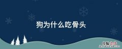 狗为什么吃骨头 狗为什么吃骨头能消化