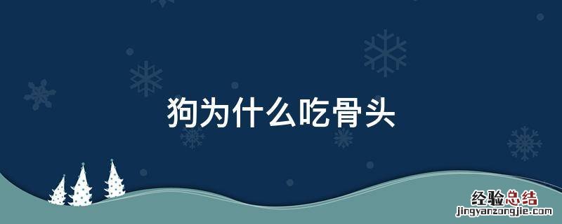 狗为什么吃骨头 狗为什么吃骨头能消化