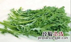 茼蒿菜怎么育苗 茼蒿菜如何种