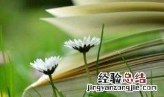 万象更新中的更字的解释 万象更新的含义