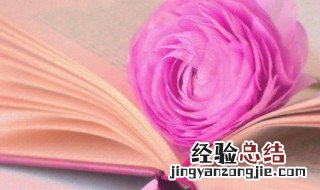 愚昧无知解释 愚昧无知的含义