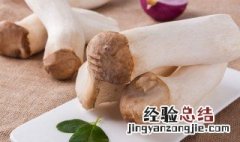 杏鲍菇怎么浇水 杏鲍菇浇水的正确方法