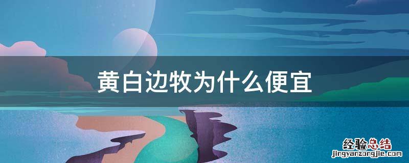 黄白色边牧是不是贵点 黄白边牧为什么便宜
