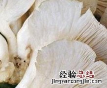 凤尾菇如何做好吃 凤尾菇如何做好吃又简单