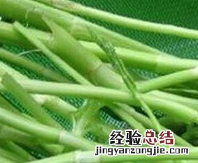 水芹菜的功效与作用 水芹菜的功效与作用及禁忌