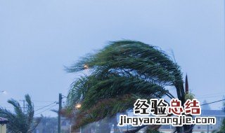讲台风格是否叫台风 通俗易懂的讲台风的形成
