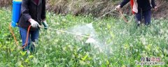 播种耕田除草施肥收割怎么排序，施肥后几天能看到效果