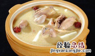 鸽子汤的家常做法大全 鸽子汤的家常做法