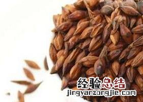 大麦茶会致癌吗 大麦茶到底是抗癌还致癌