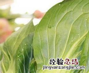 奶油菜的功效与作用是什么 奶油菜的功效与作用