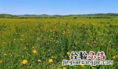 五月到七月是什么 5到七月什么季节