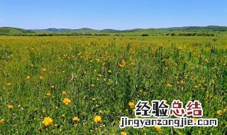 五月到七月是什么 5到七月什么季节