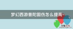 梦幻西游普陀加敏加固伤吗 梦幻西游普陀固伤怎么提高