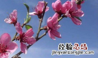 三月底属于什么季节 阳历三月底是什么季节